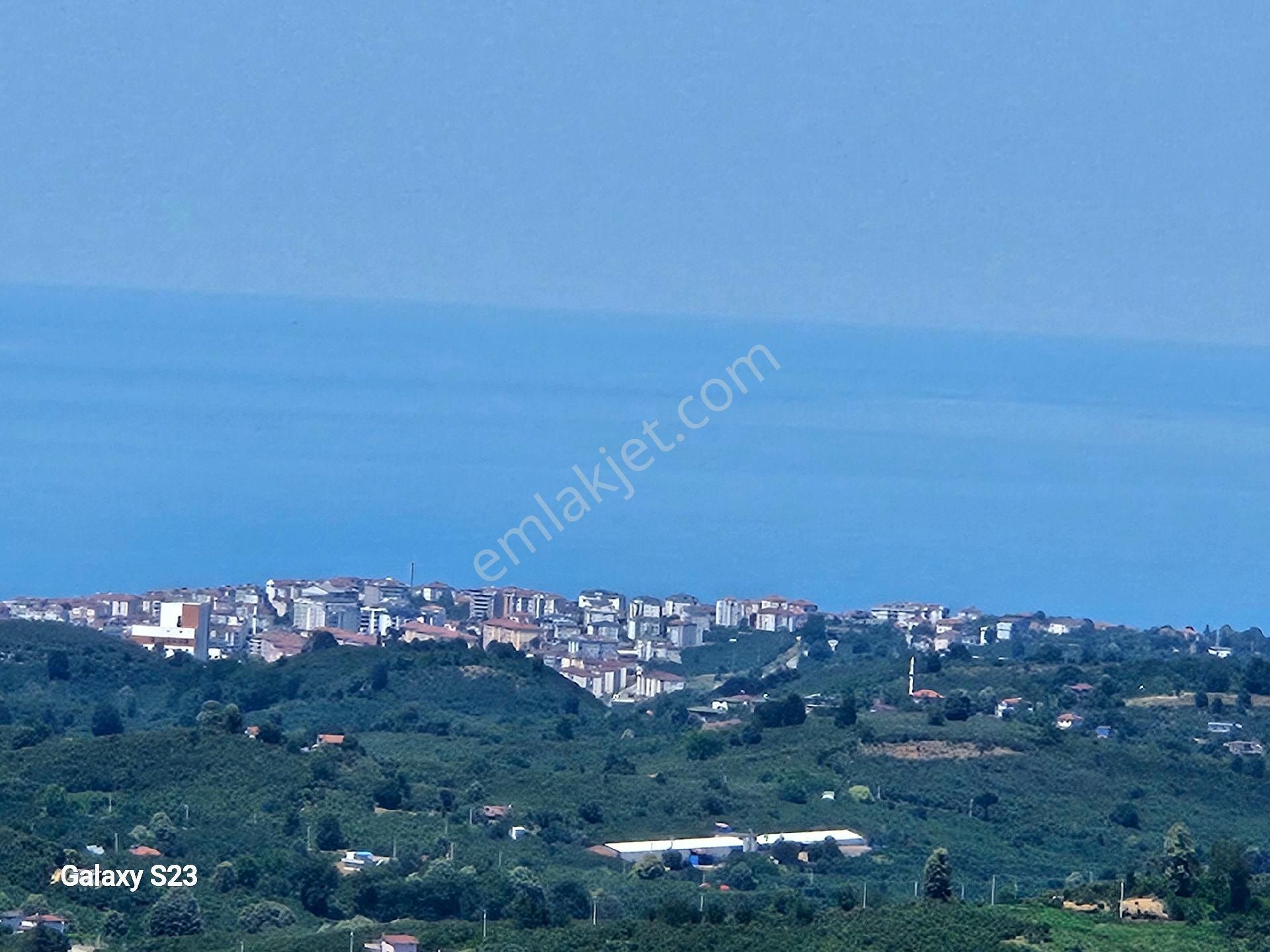 Yola Sıfır Tamamen Düz 1145m2 Fındıklık