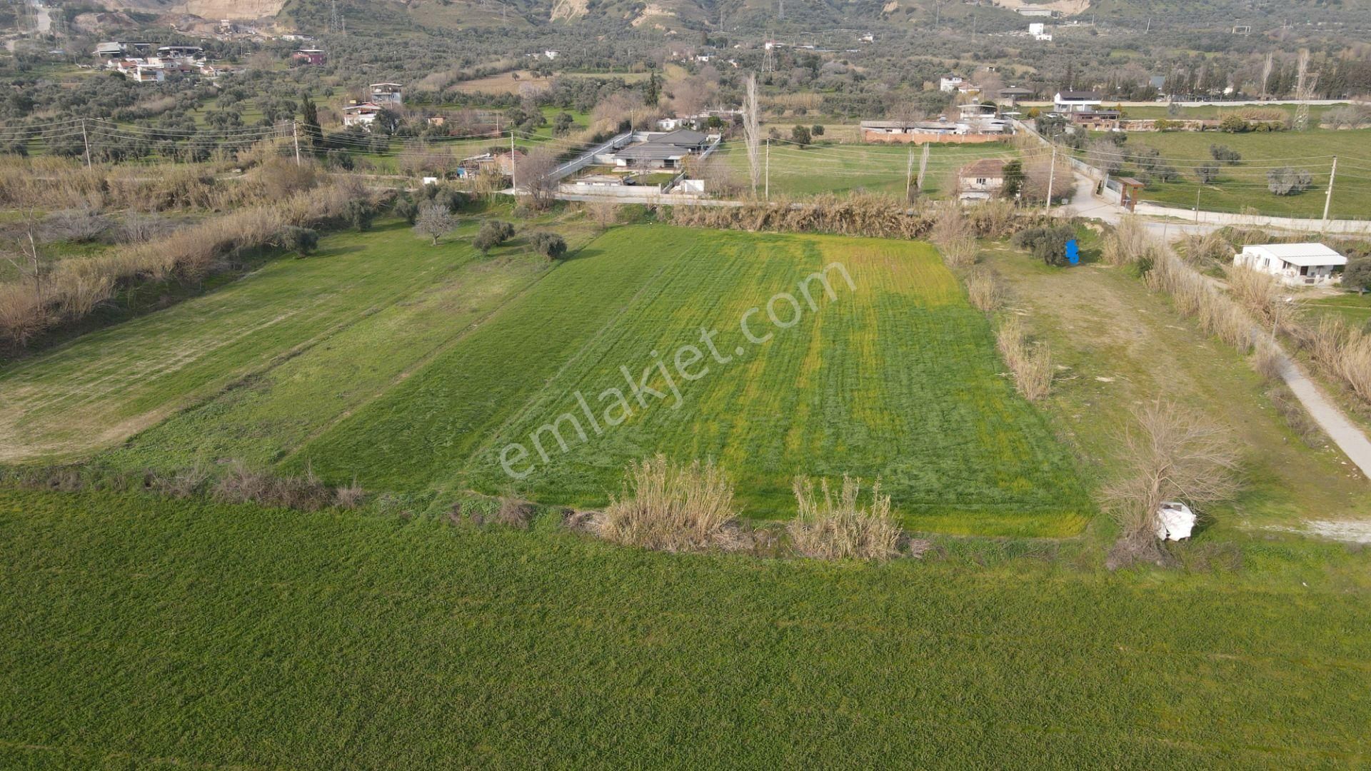 Aydın Efeler Ilıcabaşında Satılık Yatırıma Uygun Hisseli Tarla - Görsel 9
