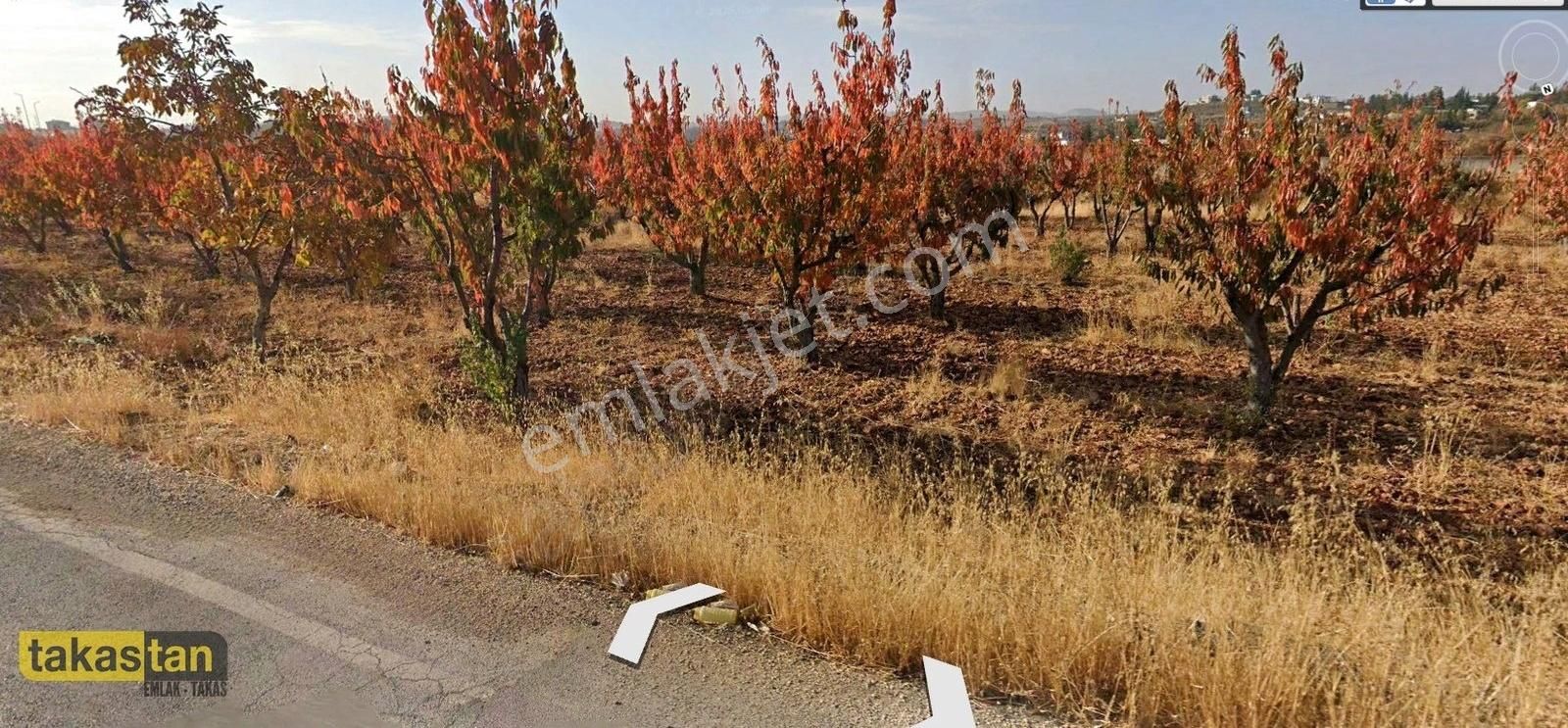 Erikli Batıgişelerine Yakın Tek Tapu Asfalt Yola Cepheli Fırsat