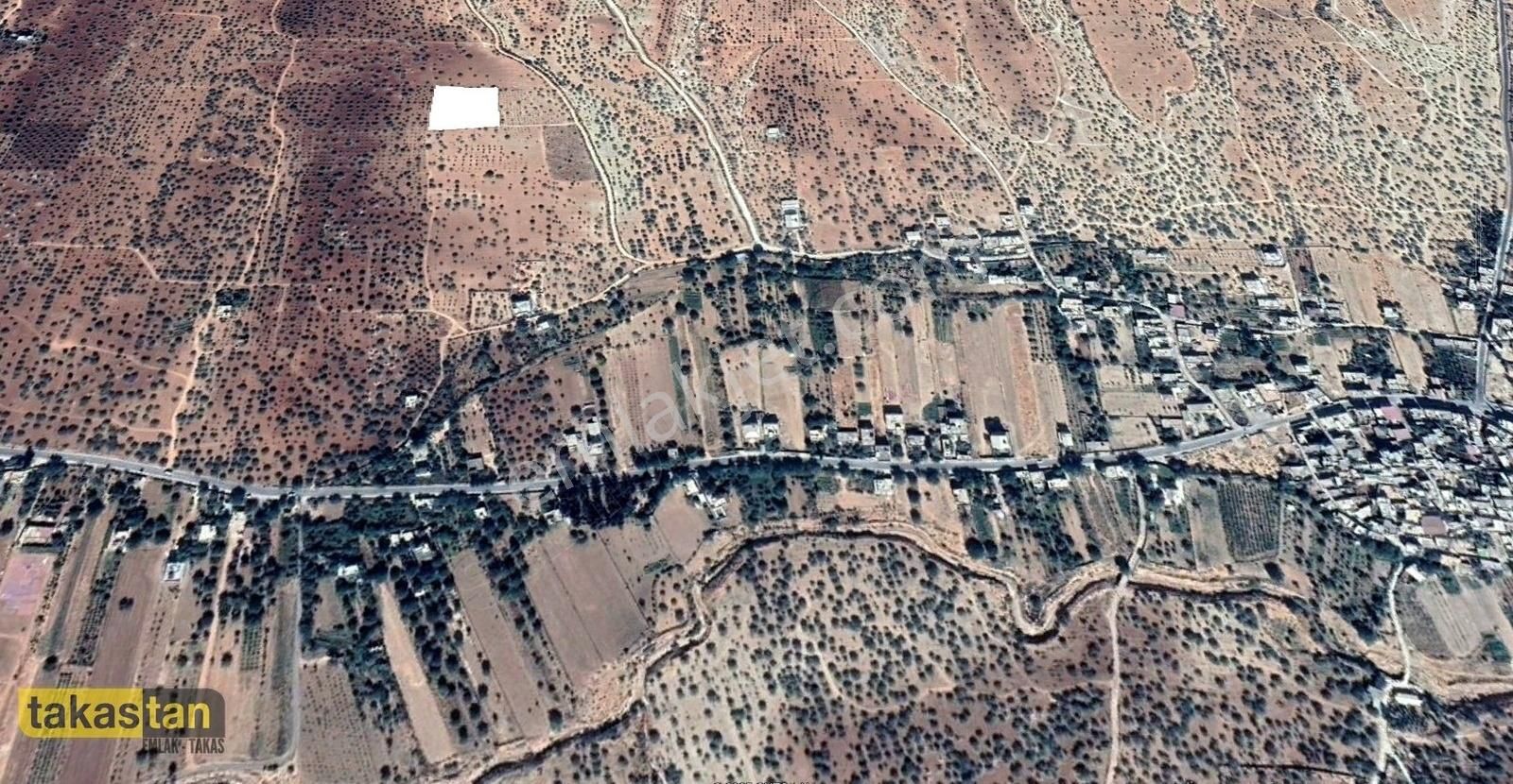 Battal Tek Tapu Resmi Yol Mevcut Üzüm Ve Fıstık Ağaçları Fırsat