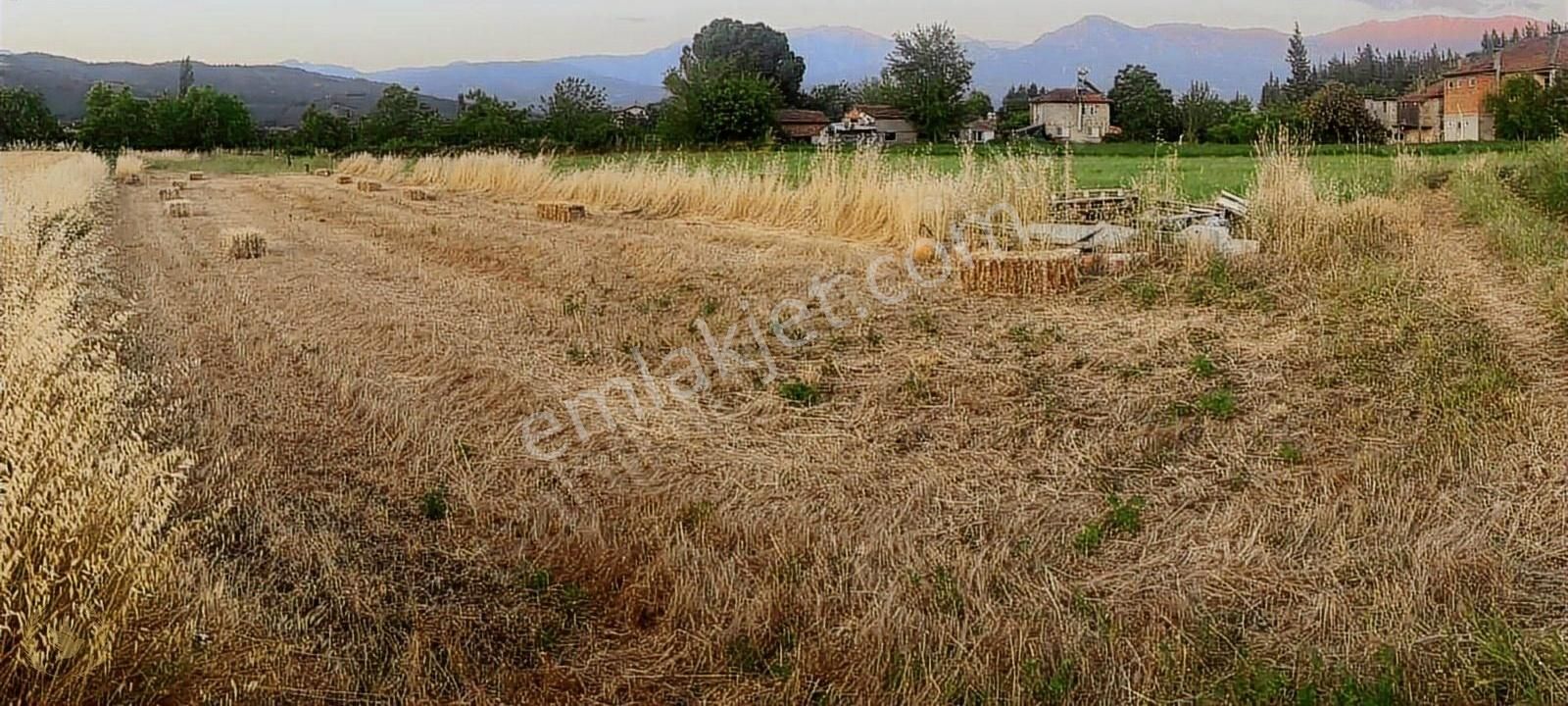 Seydikemer'in İncisi Sahil Zorlar Kalbinde 625mt Kare Mülk Satıl