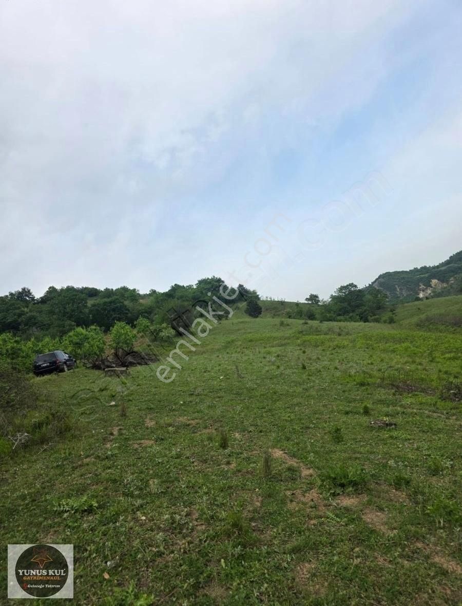 Bigadiçte Köye Yakın Tek Tapu 14 Dönüm Tamamı 439.000₺