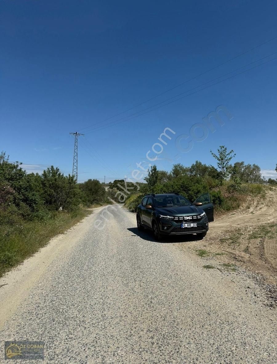 Öz Çoban Gayrimenkulden Tek Tapu Yol Kenarı Zeytinlik