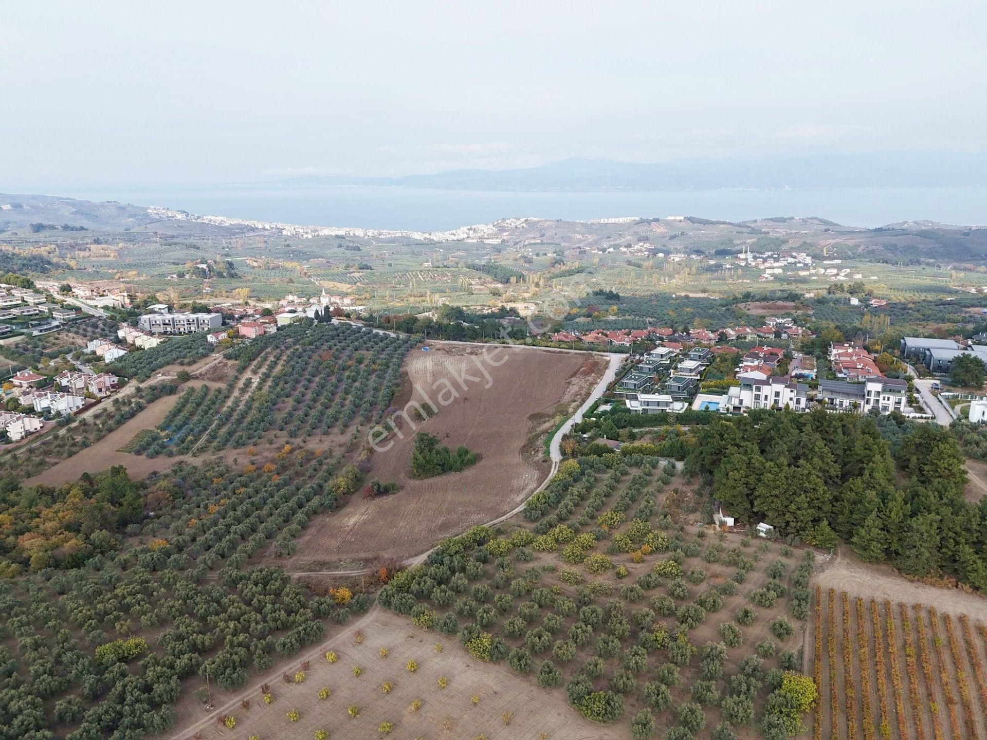 Mudanya Çağrışanda Deniz Manzaralı Satılık Villa İmarlı Arsa