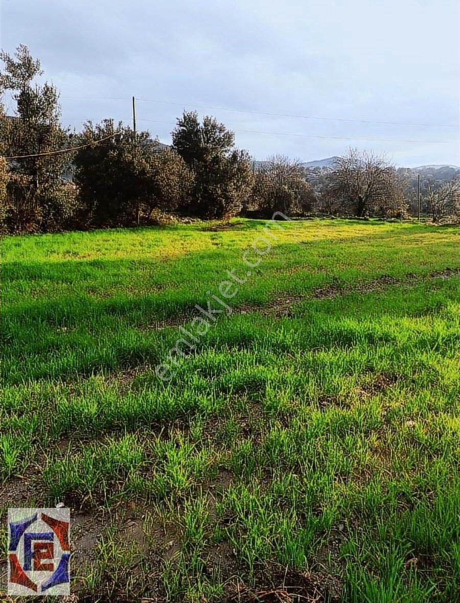 Muğla Milas Hasanlarda Hobi Bahçesine Ve Yatırıma Uygun Arazi!