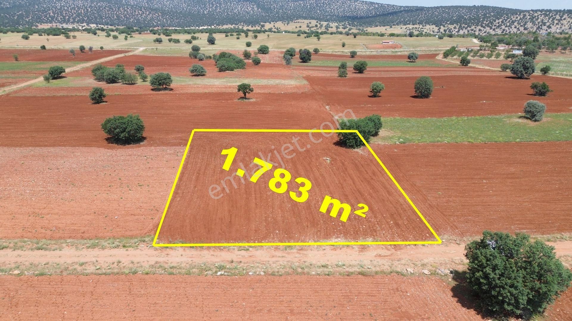 Konya / Akören / Ağalar Mahallesinde 1.783 M² Müstakil Tapulu Tarla