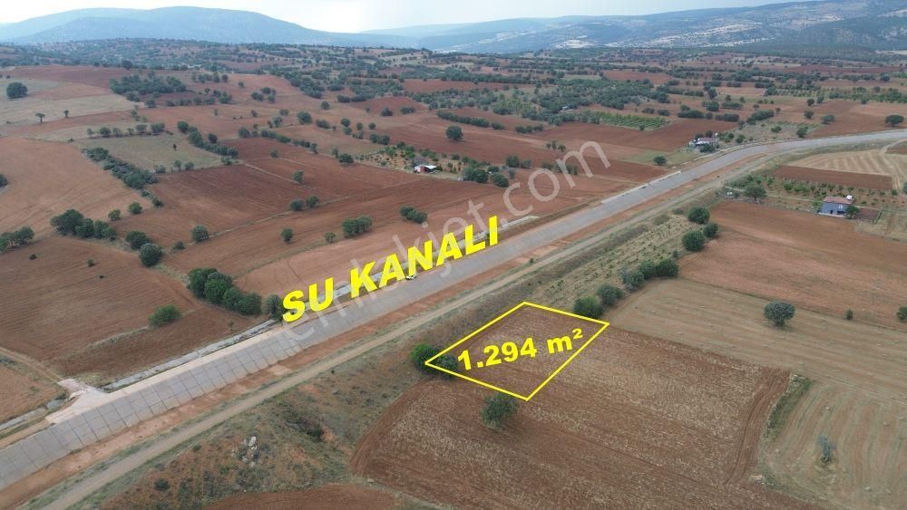 Konya / Çumra / Apasaraycık Mahallesinde 1.294 M² Müstakil Tapulu Tarla
