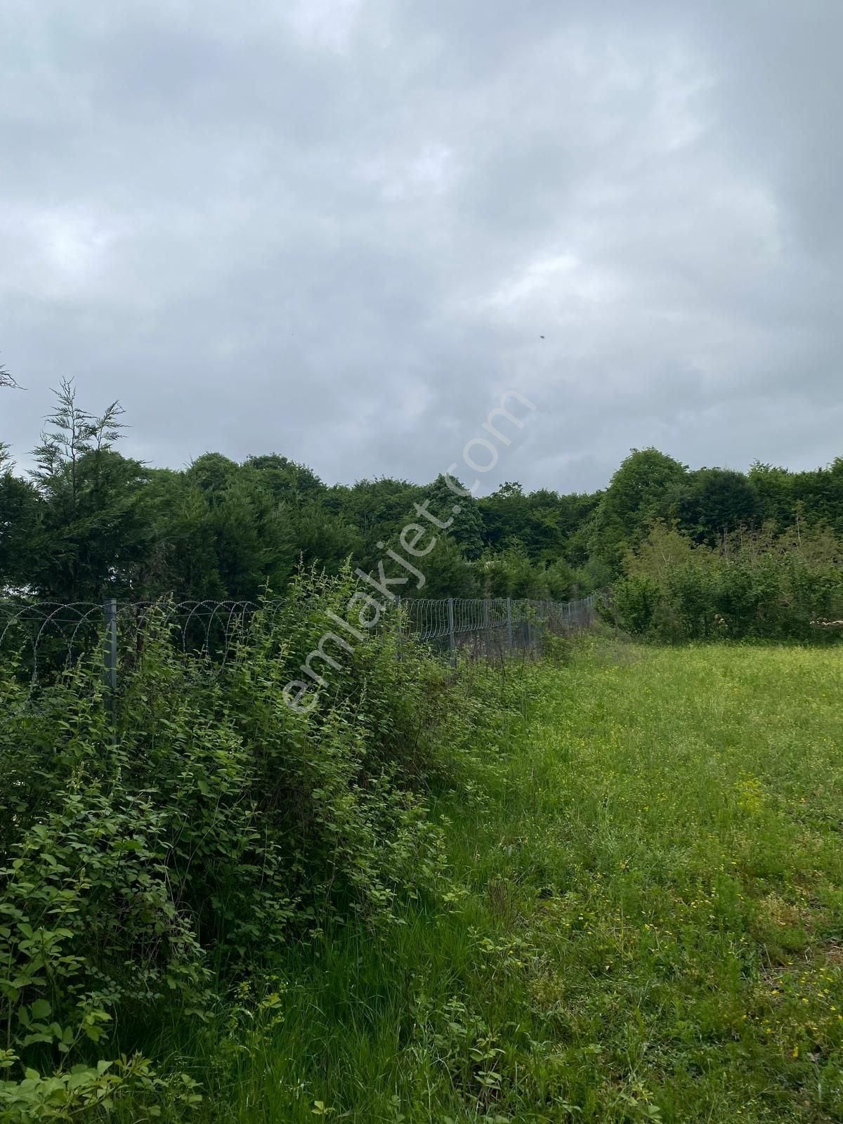 Altın Emlak'tan Ketenciler Köyü'nde Yola Cephe Tarla - Görsel 10