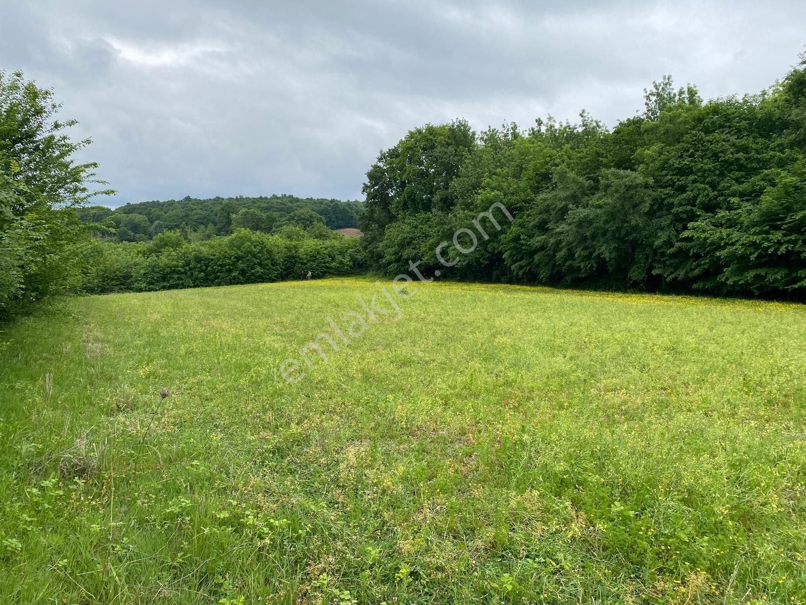 Altın Emlak'tan Ketenciler Köyü'nde Yola Cephe Tarla - Görsel 12