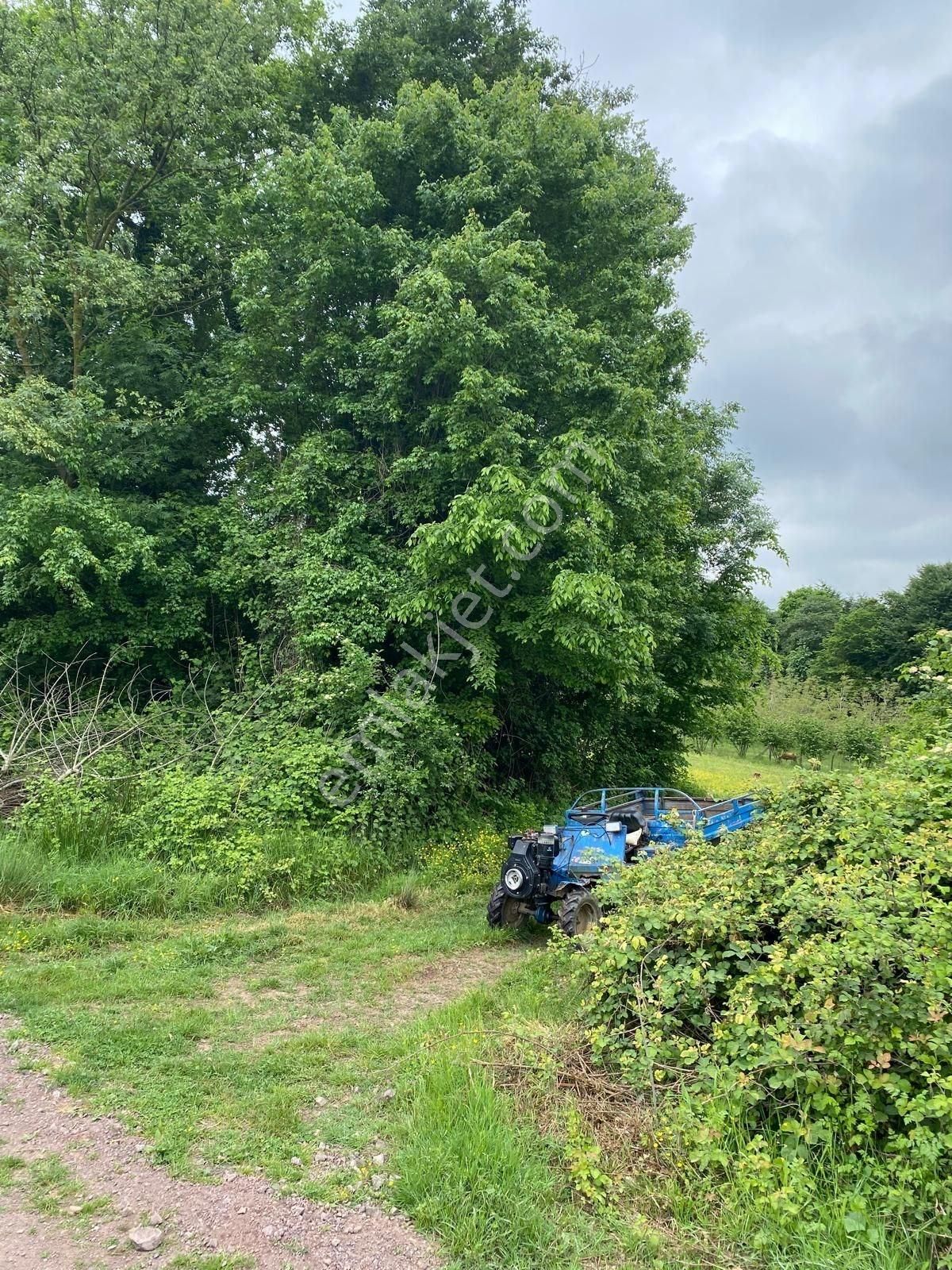 Altın Emlak'tan Ketenciler Köyü'nde Yola Cephe Tarla - Görsel 18