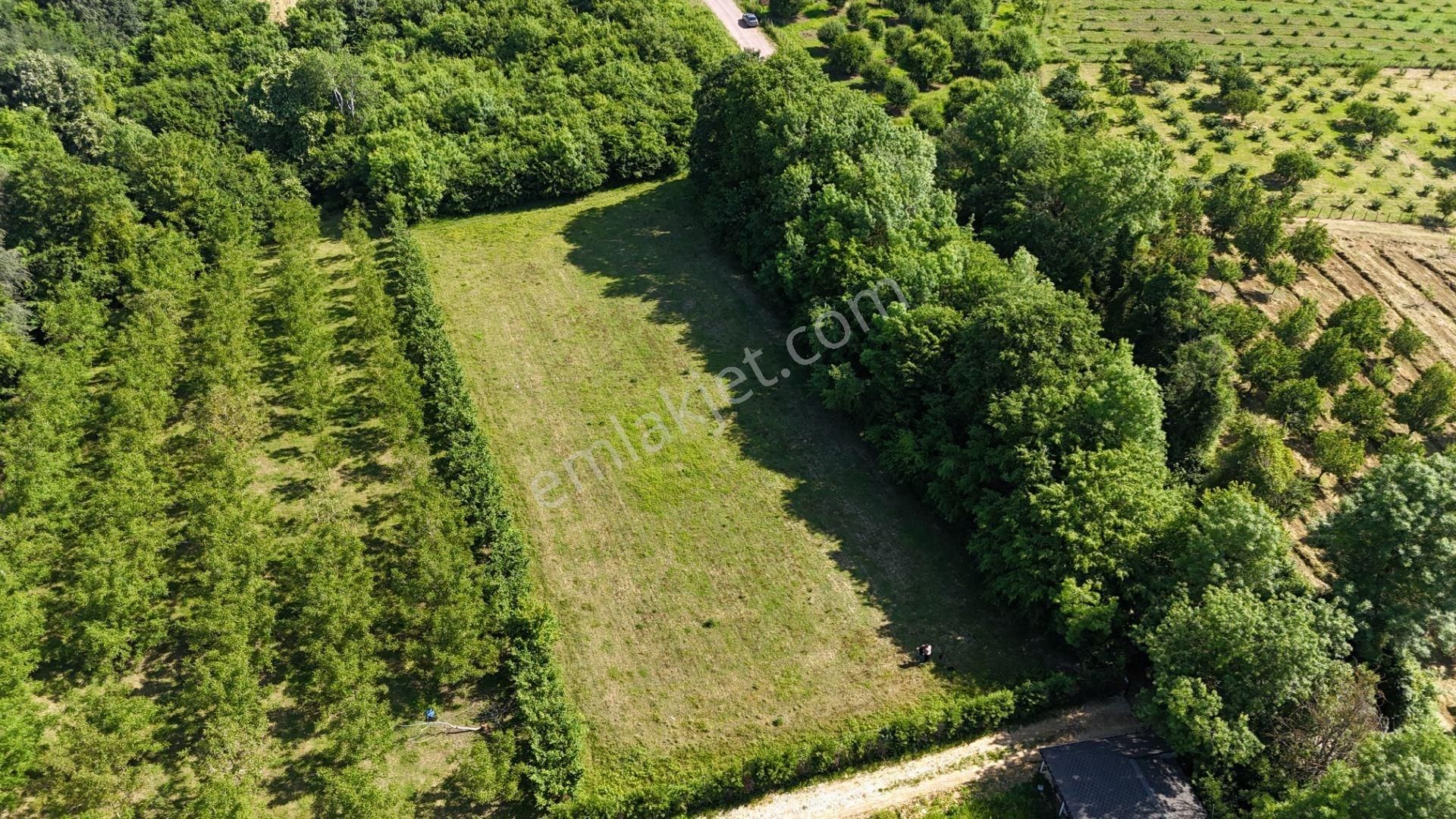 Altın Emlak'tan Ketenciler Köyü'nde Yola Cephe Tarla - Görsel 3