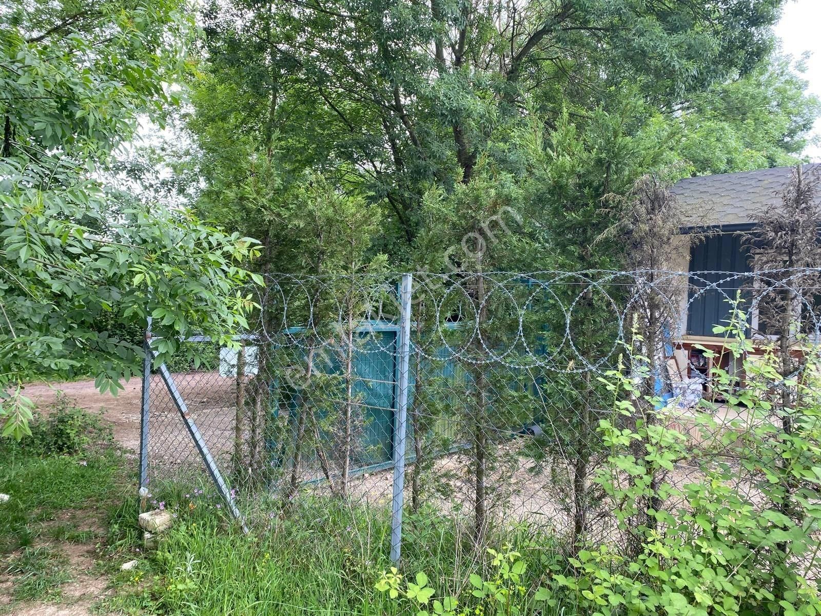 Altın Emlak'tan Ketenciler Köyü'nde Yola Cephe Tarla - Görsel 11