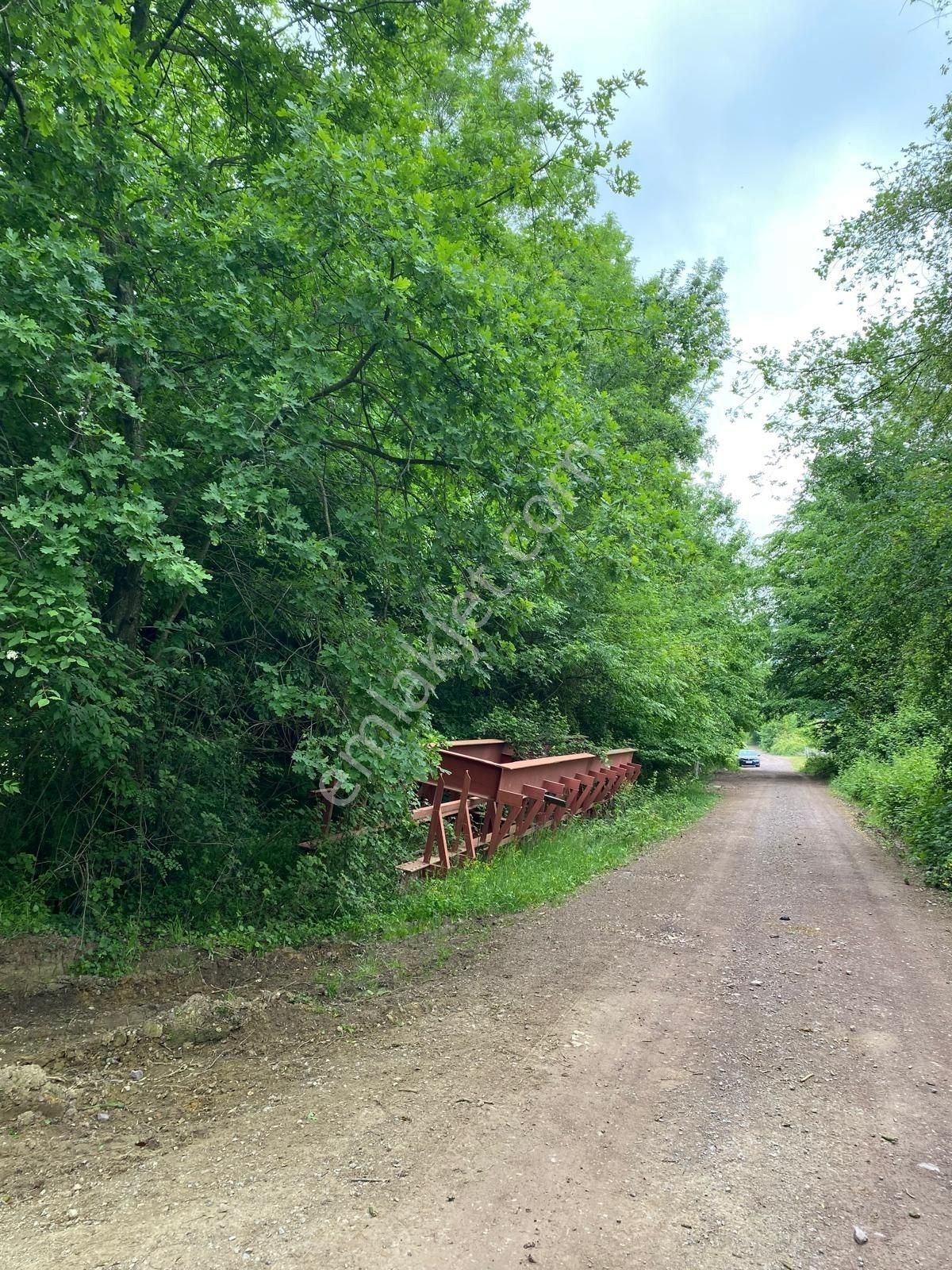 Altın Emlak'tan Ketenciler Köyü'nde Yola Cephe Tarla - Görsel 15