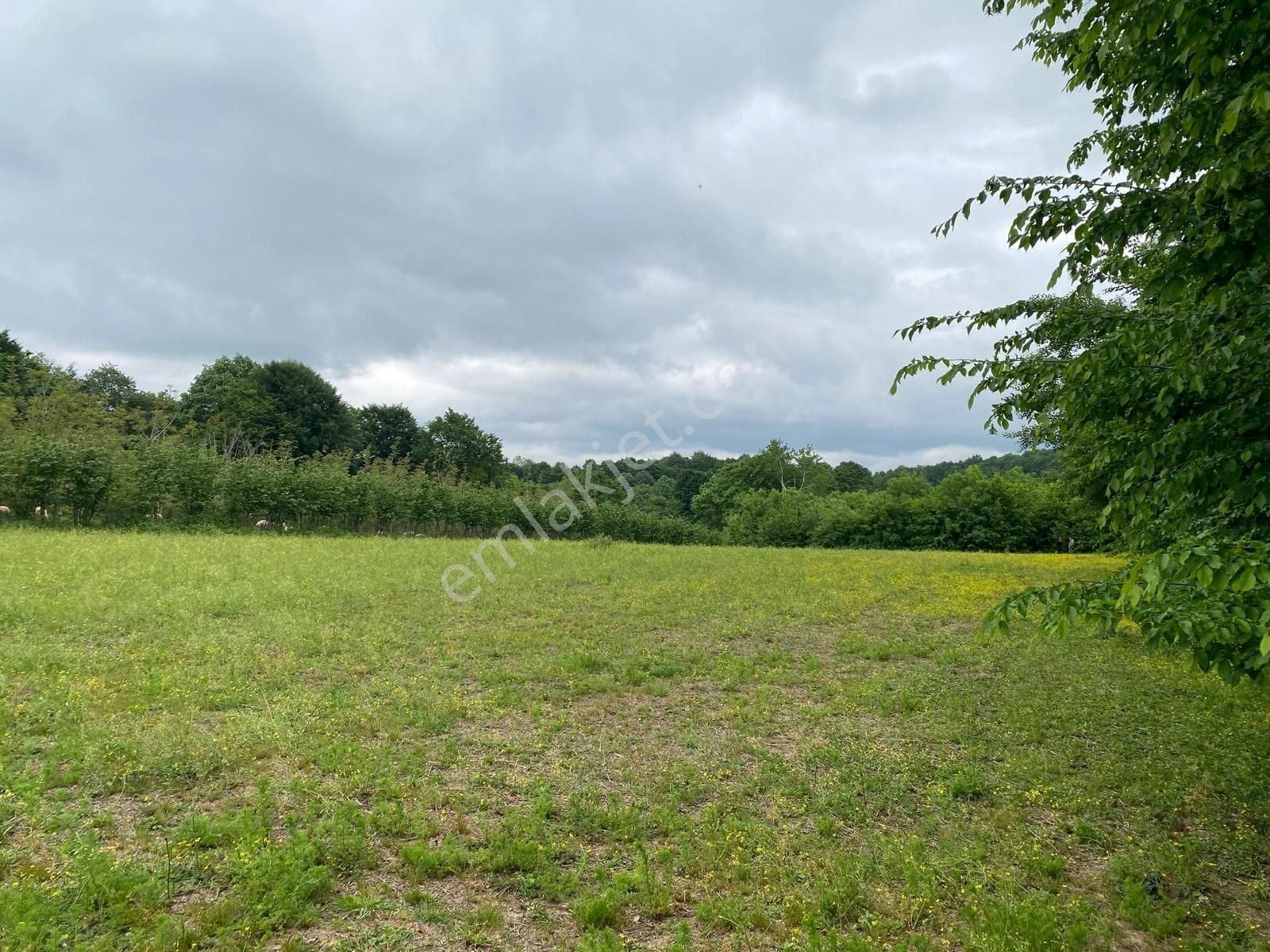 Altın Emlak'tan Ketenciler Köyü'nde Yola Cephe Tarla - Görsel 17