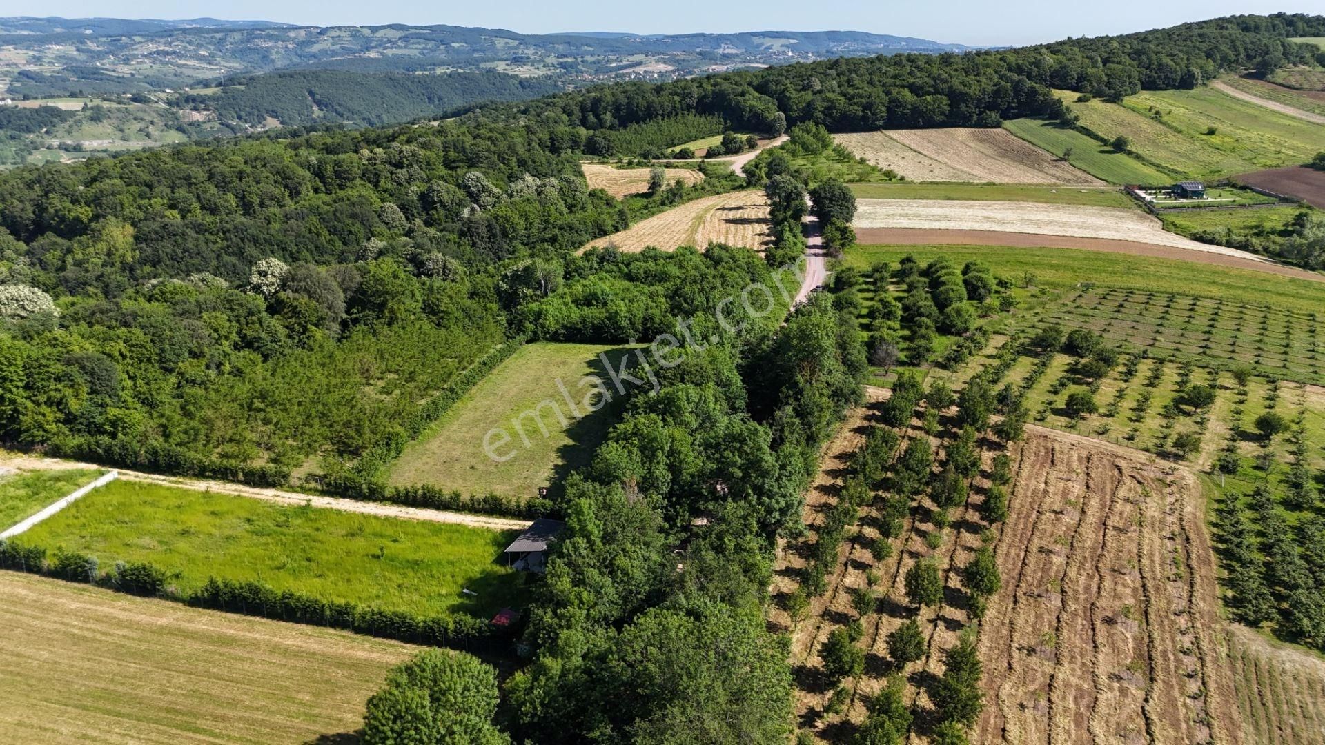 Altın Emlak'tan Ketenciler Köyü'nde Yola Cephe Tarla - Görsel 4