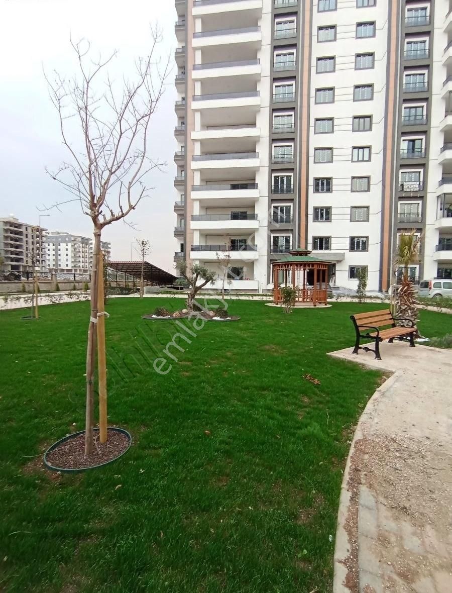 Ekinci Den Dara Yasam Da Muhteşem Daire