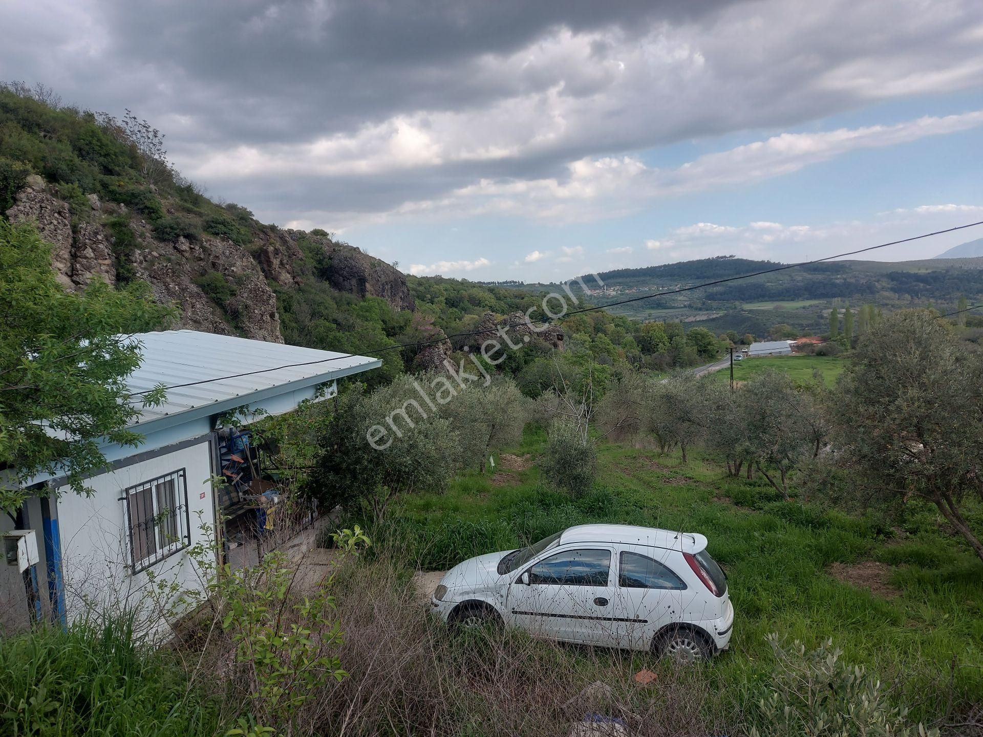Karacahisar Soma'da Köy İçinde Eşyalı Ev, 2 Dönüm Zeytinlik