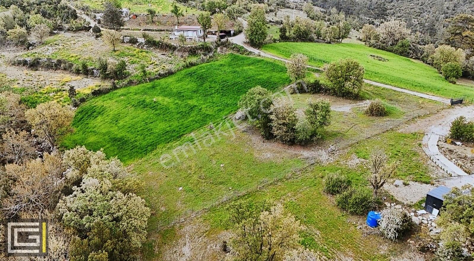 Muhteşem Doğa Akdeniz Coğrafyasında Karadeniz İklimi Yaşayın