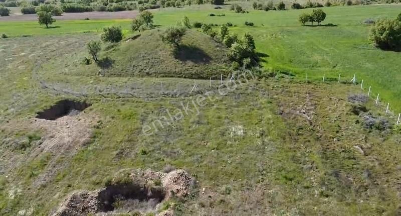Kırklareli Merkez Üsküp 2.259 M2 Tarla Resmi Kadastro Yolu Var