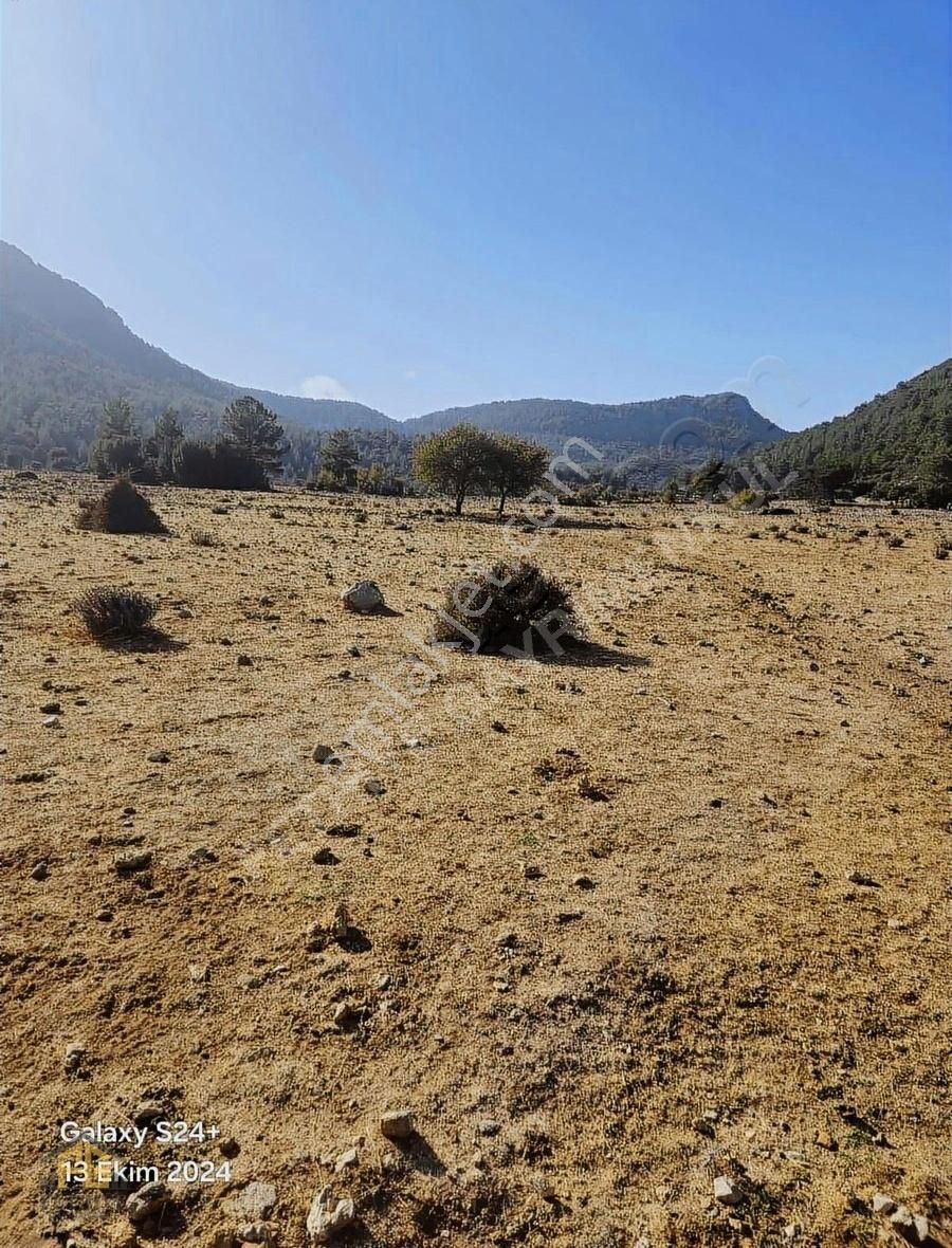 Fethiye Karaağaçta 2950 Satılık Tarla