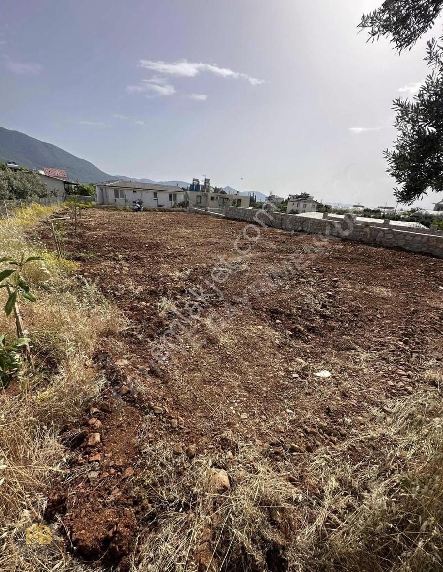 Fethiye Eldirek Mahallesinde Satılık 600m2 Tarla