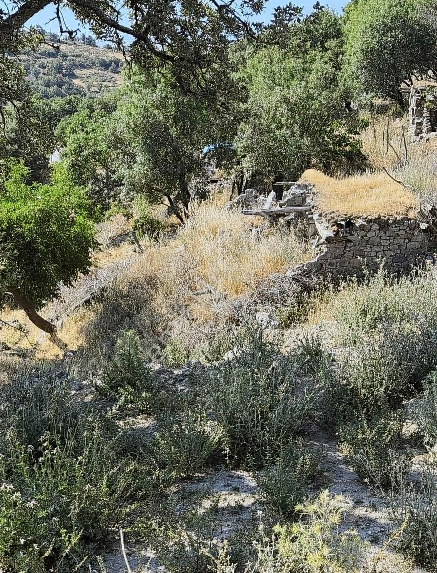 My Madra Gayrimenkulden Burhaniye Kuyucakta Satılık Kargir Ev