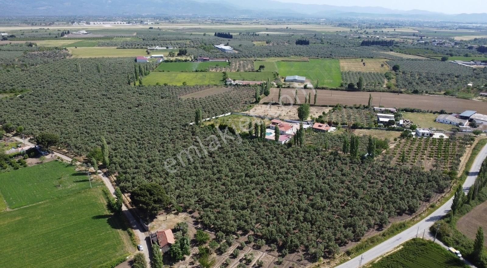 Edremit Çıkrıkçı Mah 74.000m2 Muhteşem Konumda Zeytinilik