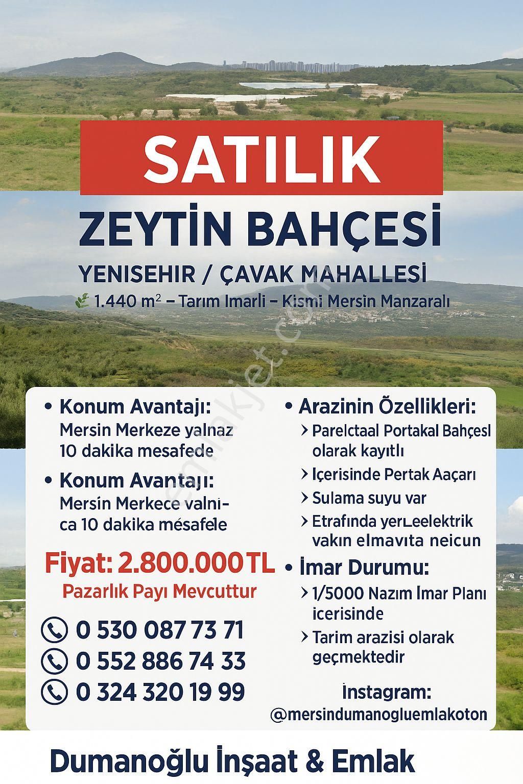 📍 Satılık Zeytin Bahçesi – Yenişehir / Çavak Mahallesi🌿 1.440 M²
