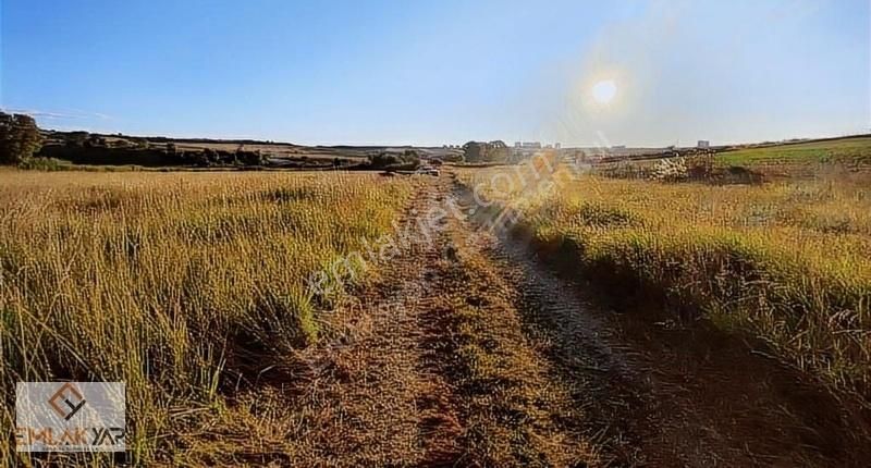 Emlakyap Tan Kanal İstanbula Cephe Satılık 7.814m2 Tektapu Arsa