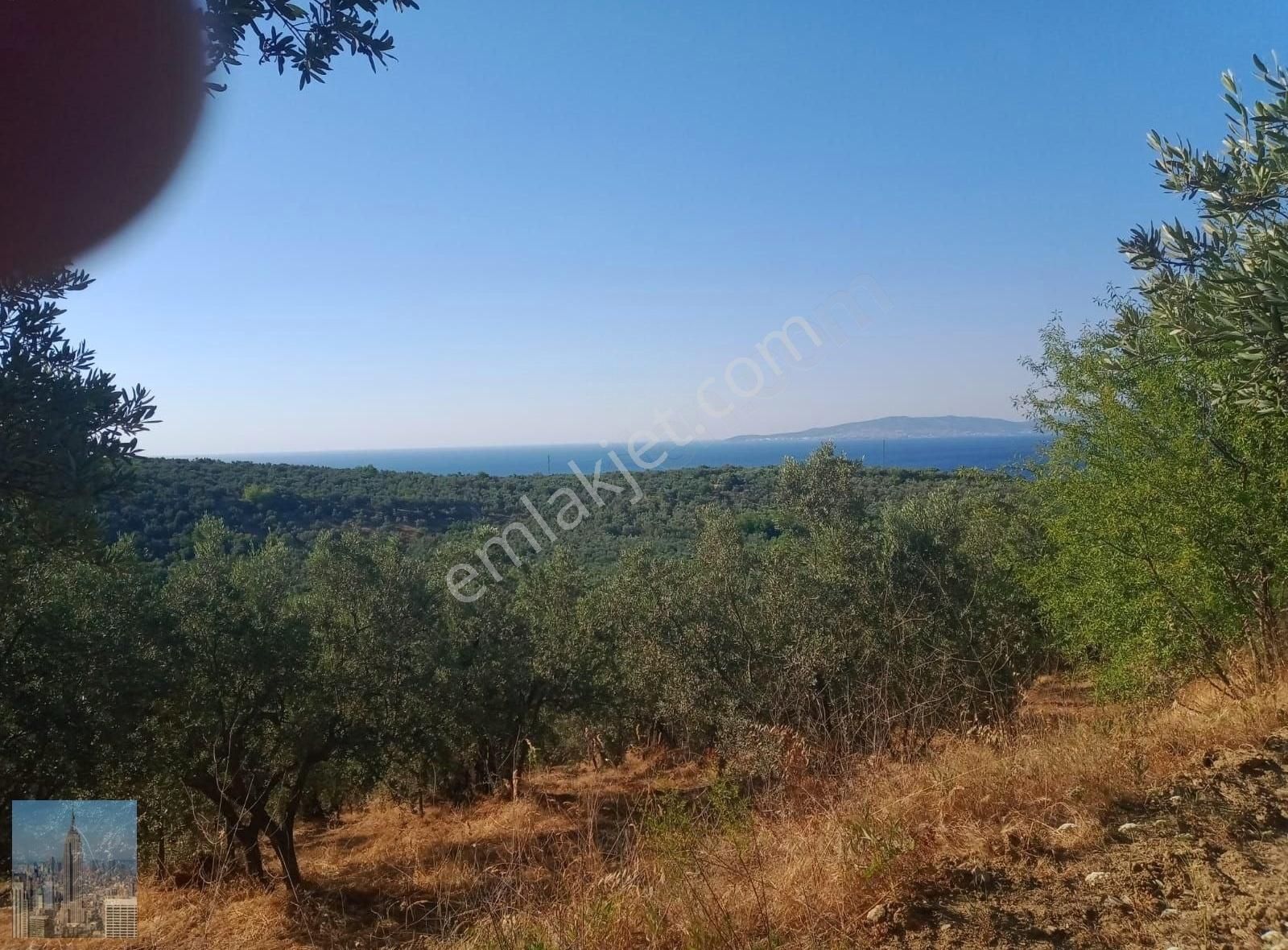 Mudanya Trilyede Full Deniz Manzaralı Fırsat Zeytinlik