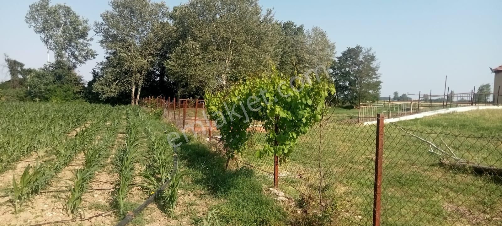Edirne Karağaçta Satılık 11 Dönüm Çiflik Ve Bahçe Yeri
