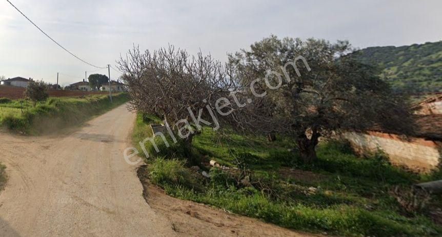Antika Gayrimenkul'den Uzundere'de Satılık Arsa - Görsel 5