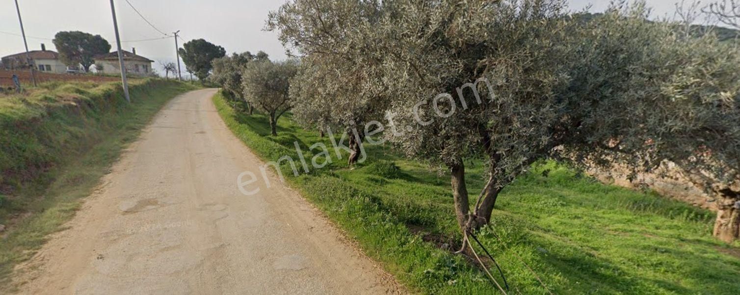 Antika Gayrimenkul'den Uzundere'de Satılık Arsa - Görsel 3