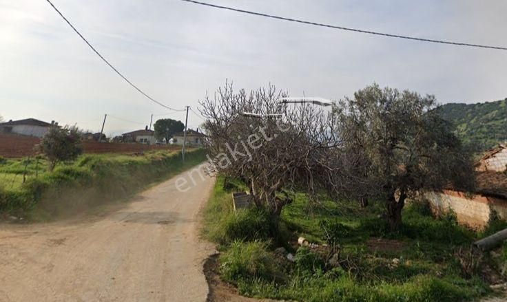 Antika Gayrimenkul'den Uzundere'de Satılık Arsa - Görsel 2