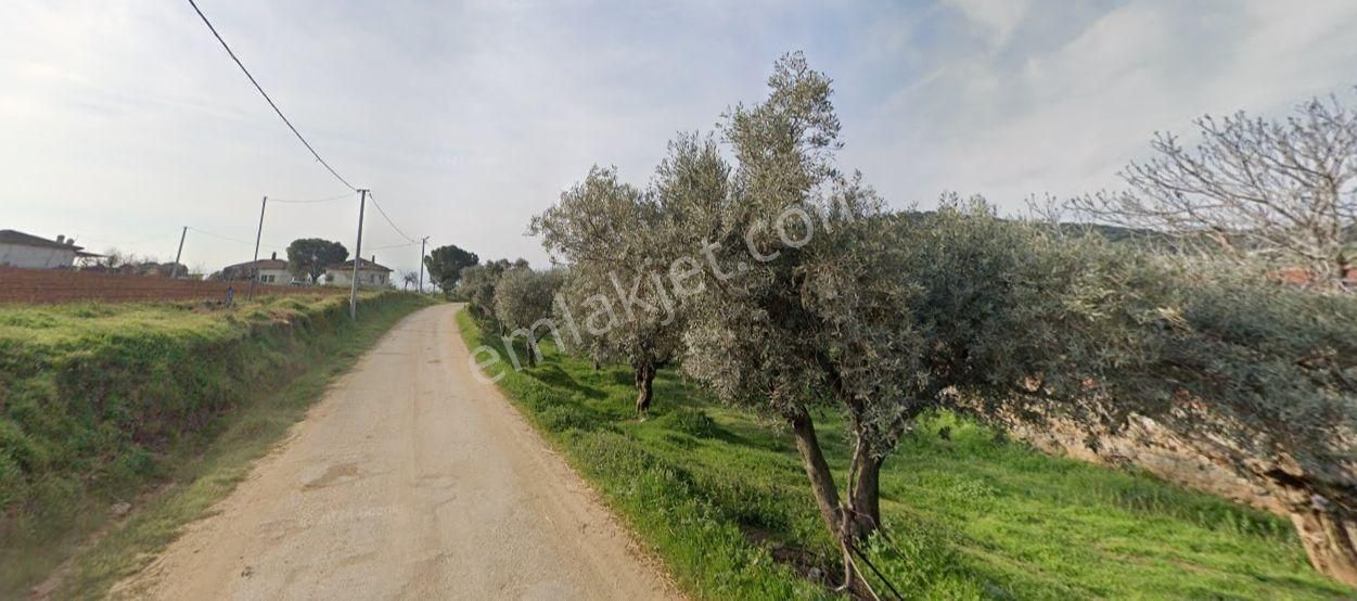 Antika Gayrimenkul'den Uzundere'de Satılık Arsa - Görsel 4