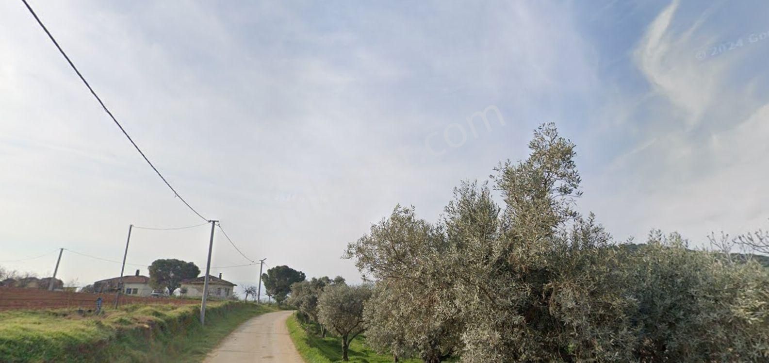 Antika Gayrimenkul'den Uzundere'de Satılık Arsa - Görsel 6