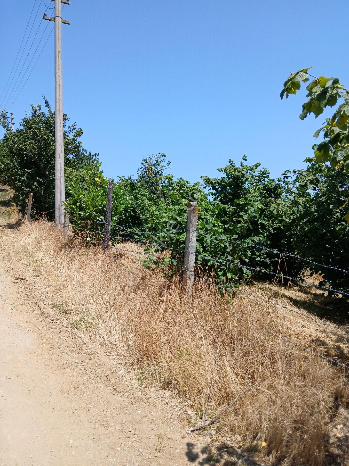 Yatırımlık Arsa