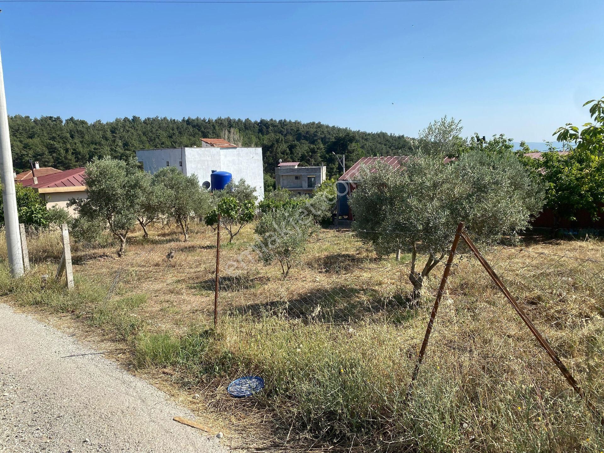 Sahibinden.müstakil Parsel (tek Tapu) - Görsel 4