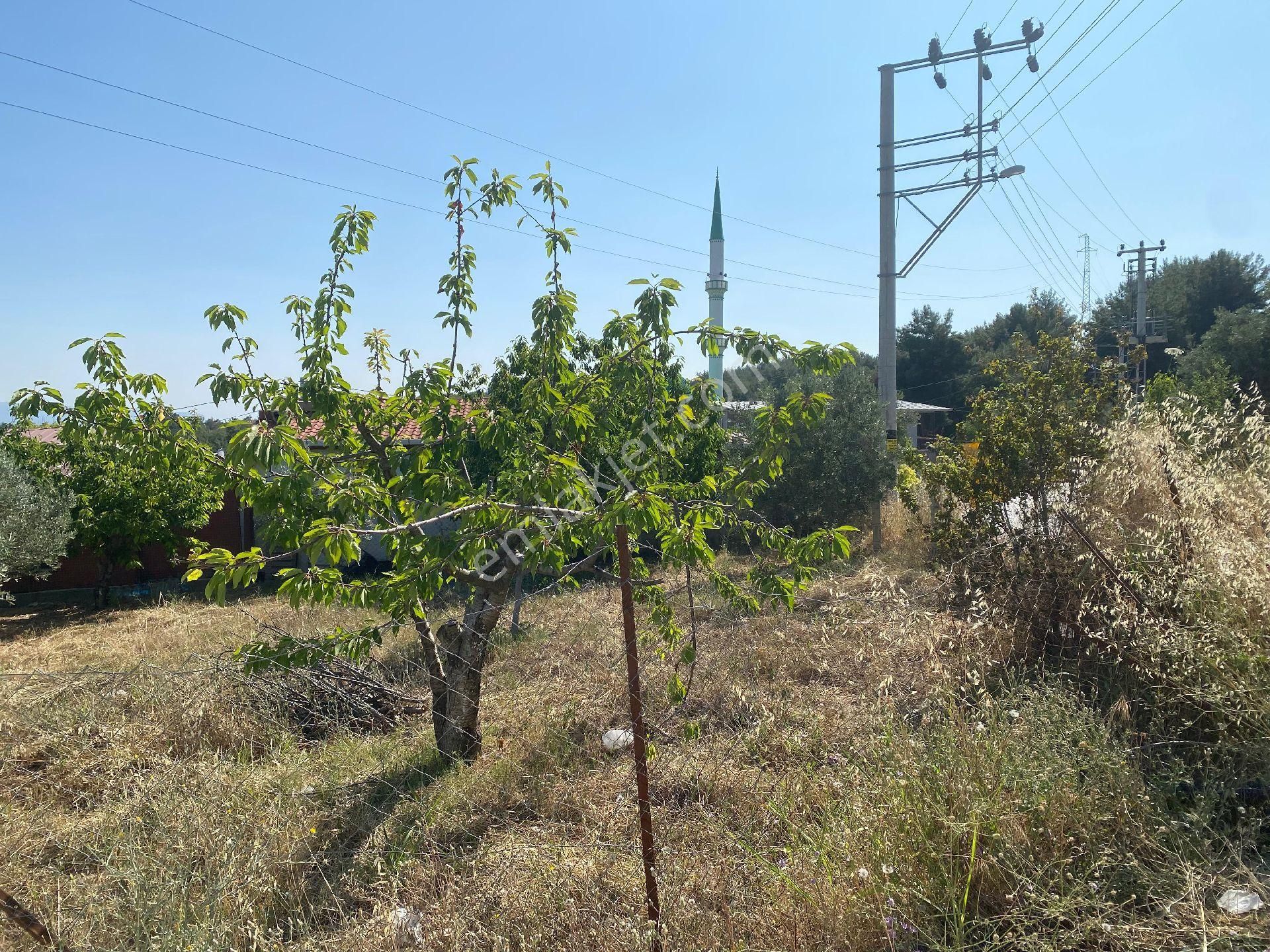 Sahibinden.müstakil Parsel (tek Tapu) - Görsel 3