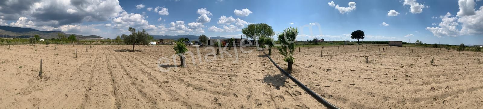 Menemen Mermerli'de Muhteşem Konumda 5023 M2 3+1 Evi Bulunan Bağ