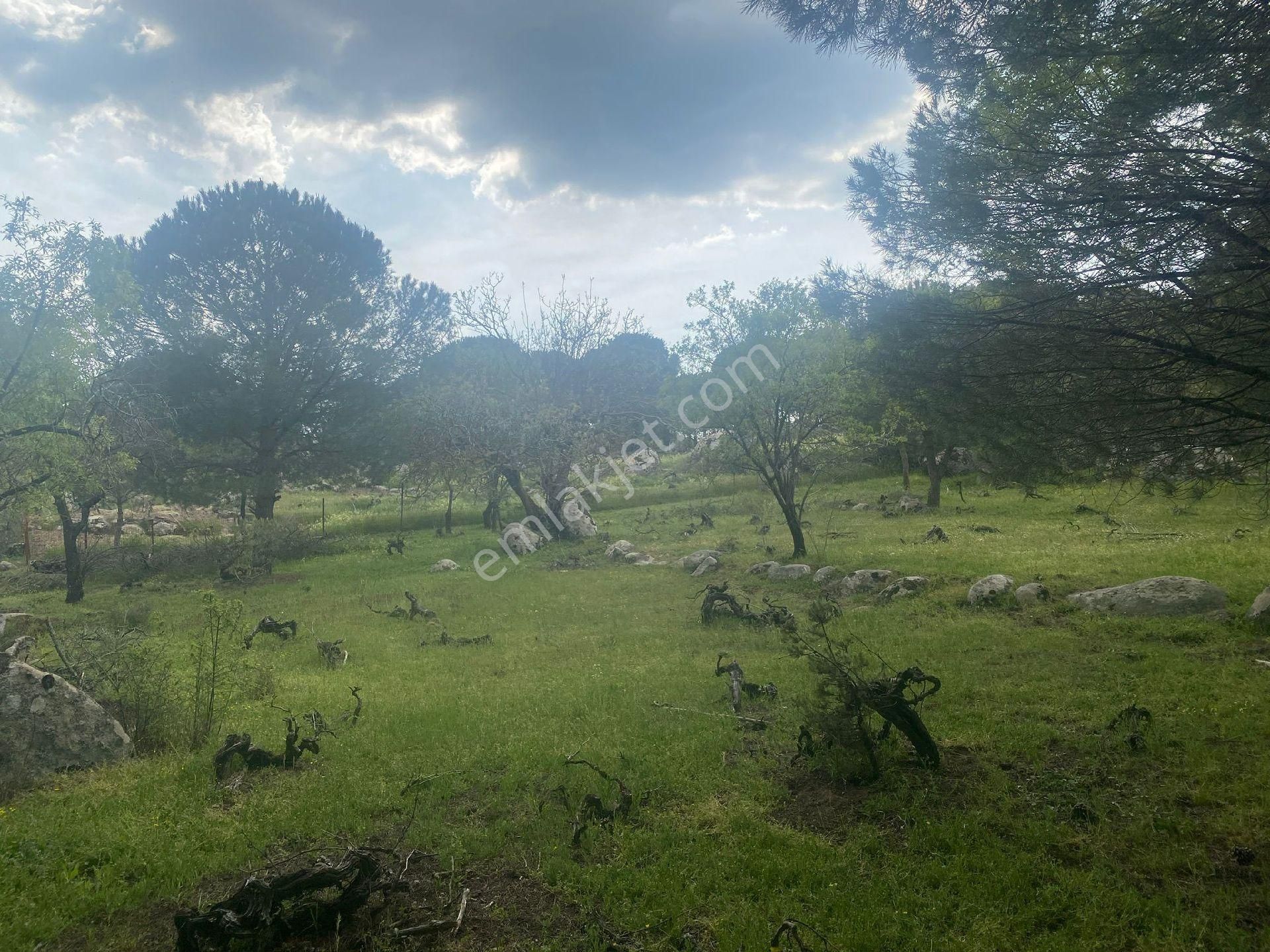 Bergamada Satilik Arsa