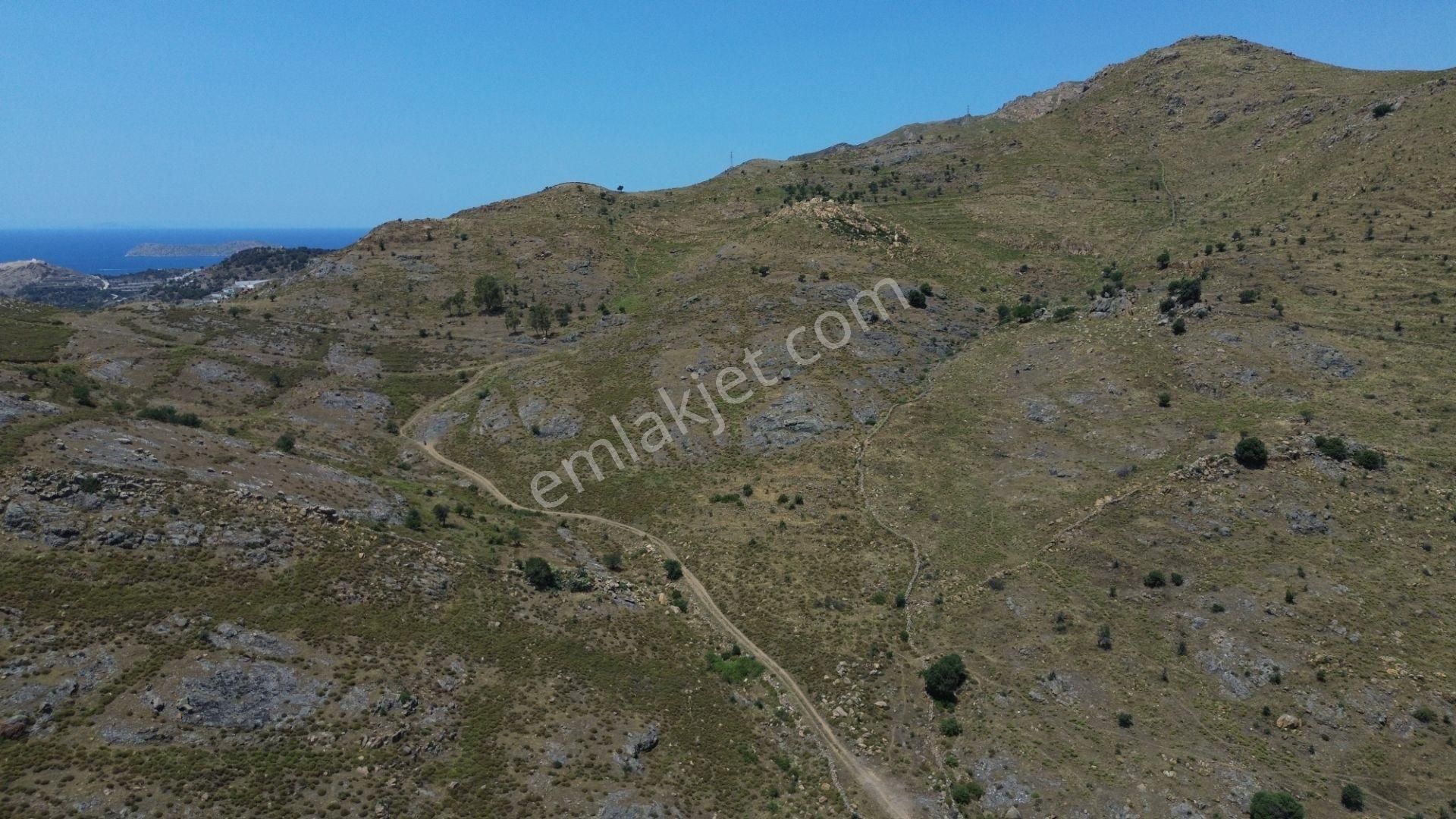 Bodrum Dereköy'de Yatırım Değeri Yüksek Tarla - Görsel 6