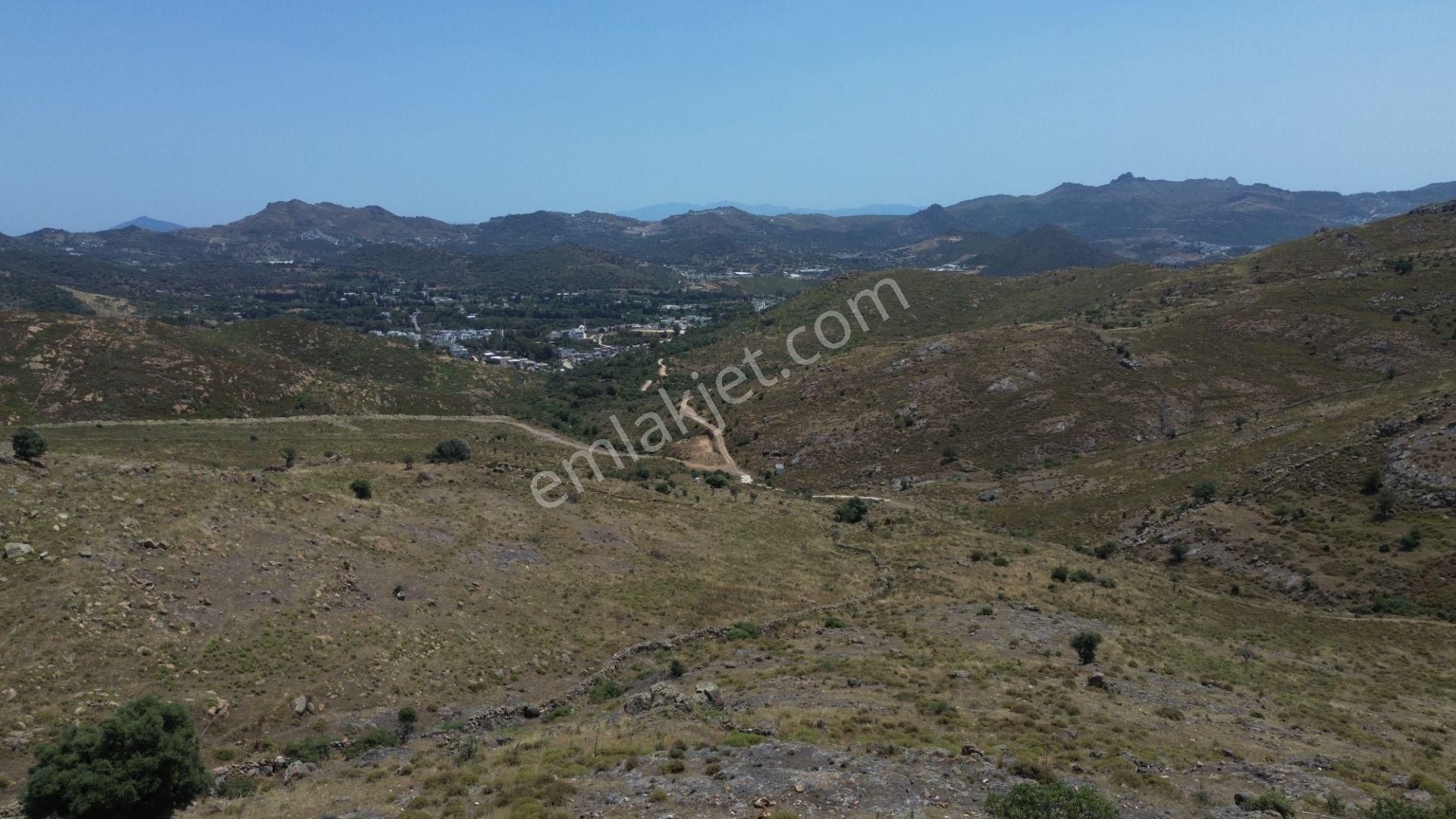 Bodrum Dereköy'de Yatırım Değeri Yüksek Tarla - Görsel 16