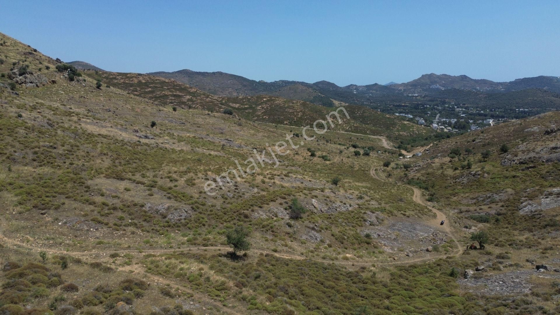 Bodrum Dereköy'de Yatırım Değeri Yüksek Tarla - Görsel 17