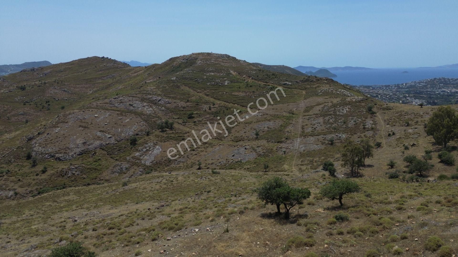 Bodrum Dereköy'de Yatırım Değeri Yüksek Tarla - Görsel 13