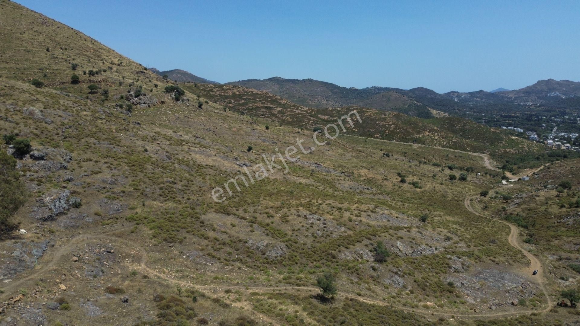 Bodrum Dereköy'de Yatırım Değeri Yüksek Tarla - Görsel 18