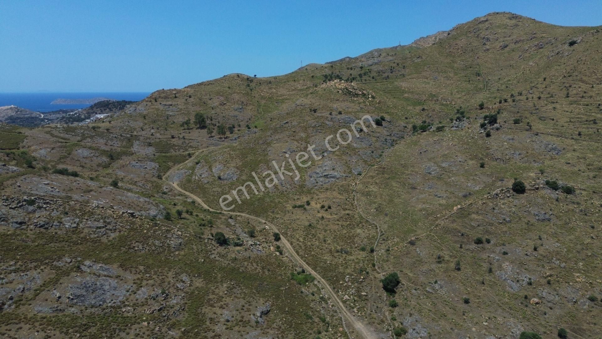 Bodrum Dereköy'de Yatırım Değeri Yüksek Tarla - Görsel 7