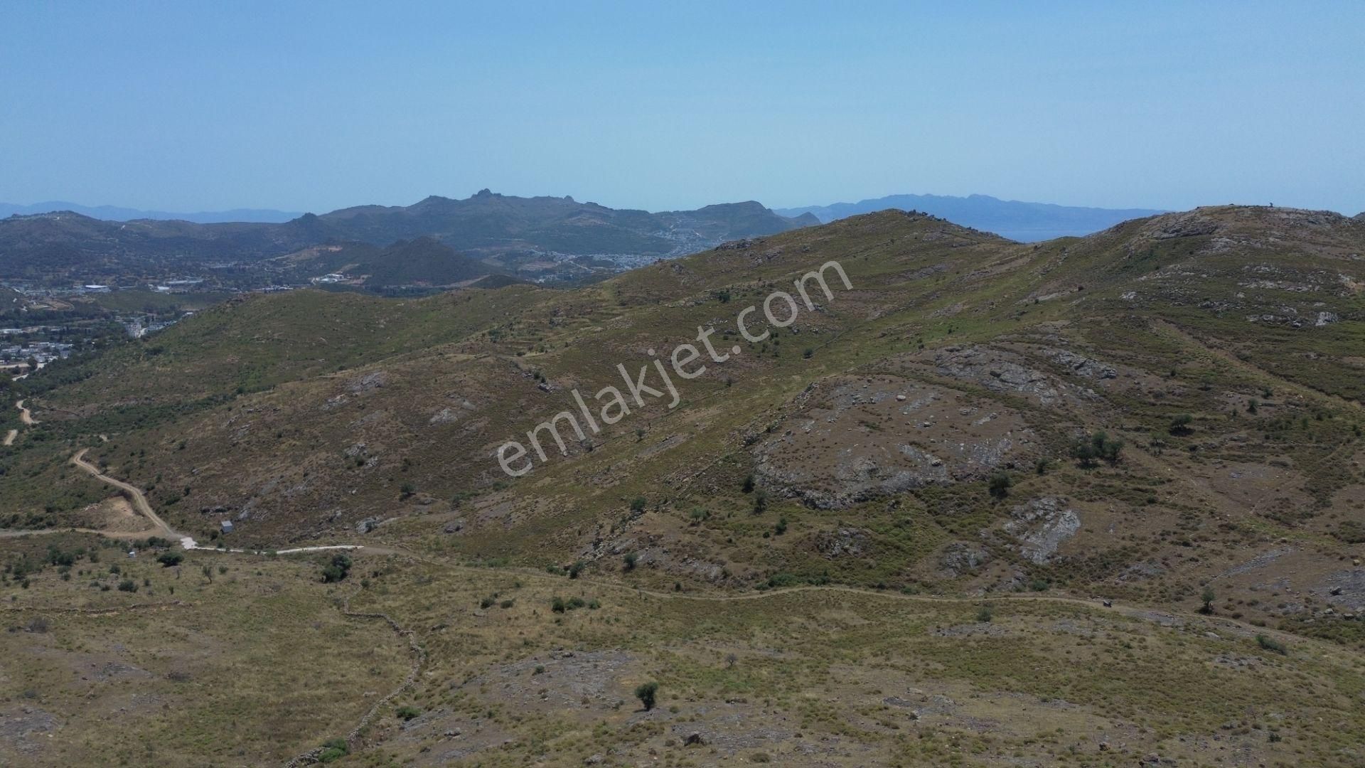 Bodrum Dereköy'de Yatırım Değeri Yüksek Tarla - Görsel 8