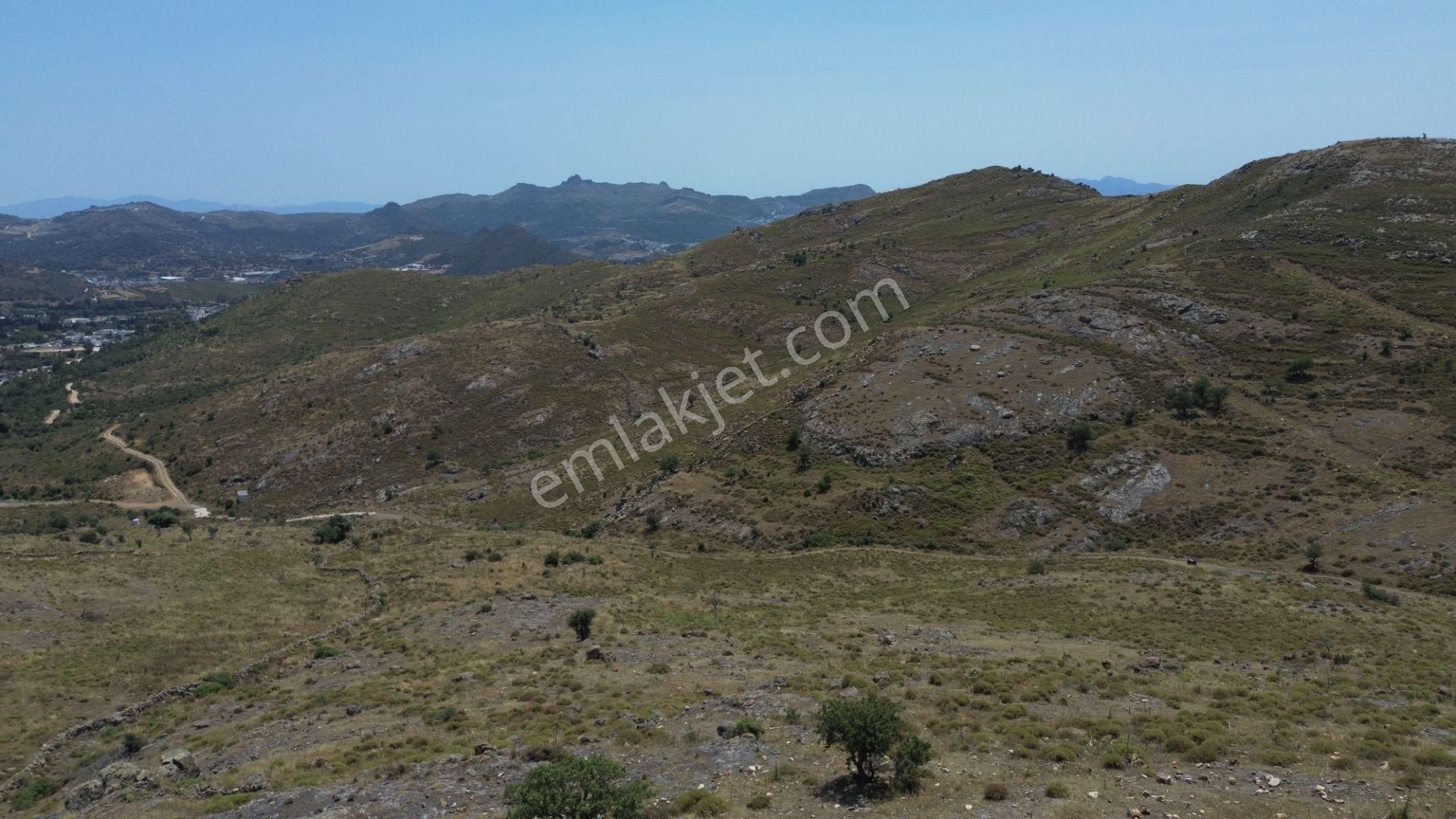 Bodrum Dereköy'de Yatırım Değeri Yüksek Tarla - Görsel 15