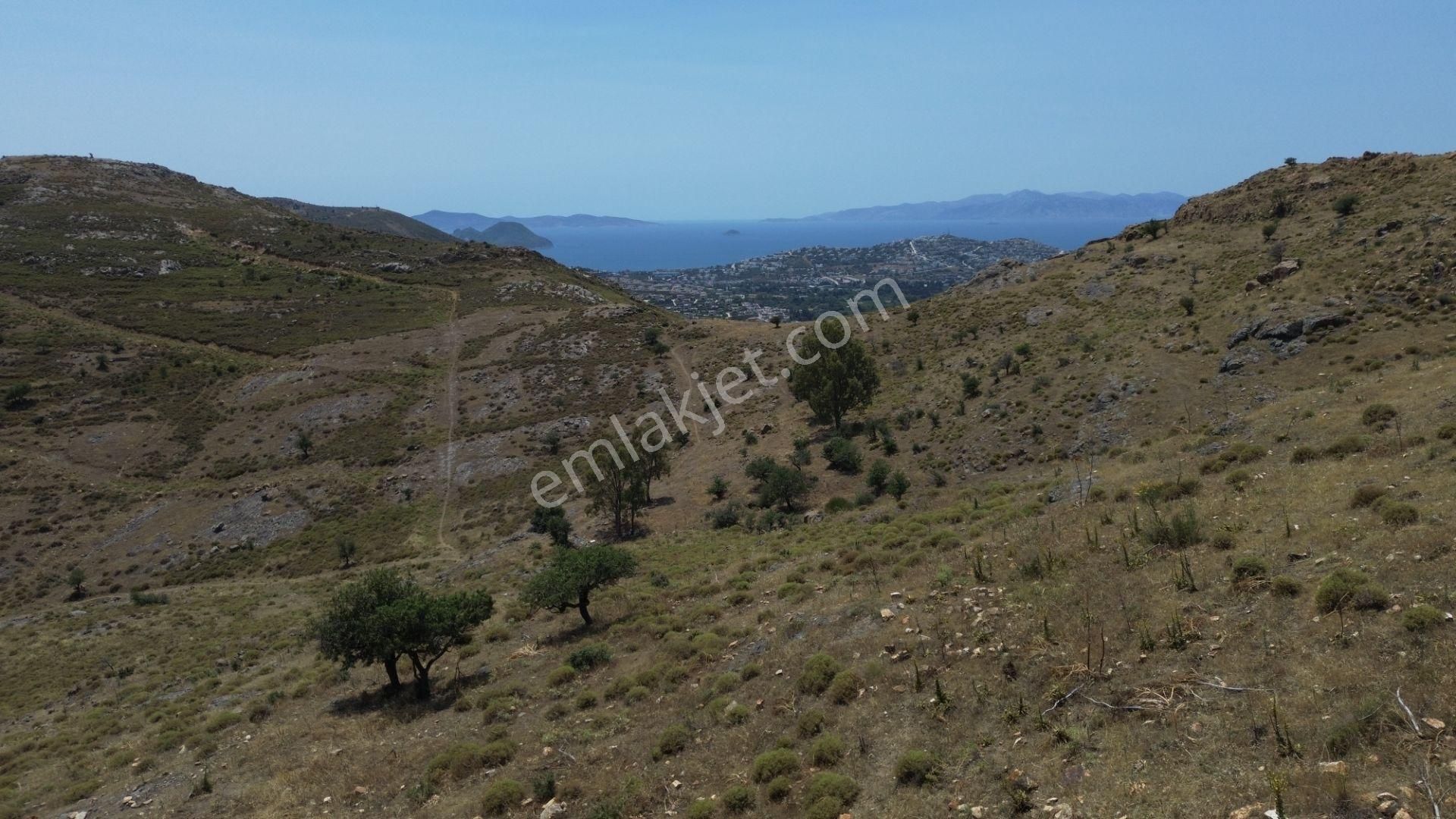 Bodrum Dereköy'de Yatırım Değeri Yüksek Tarla - Görsel 14